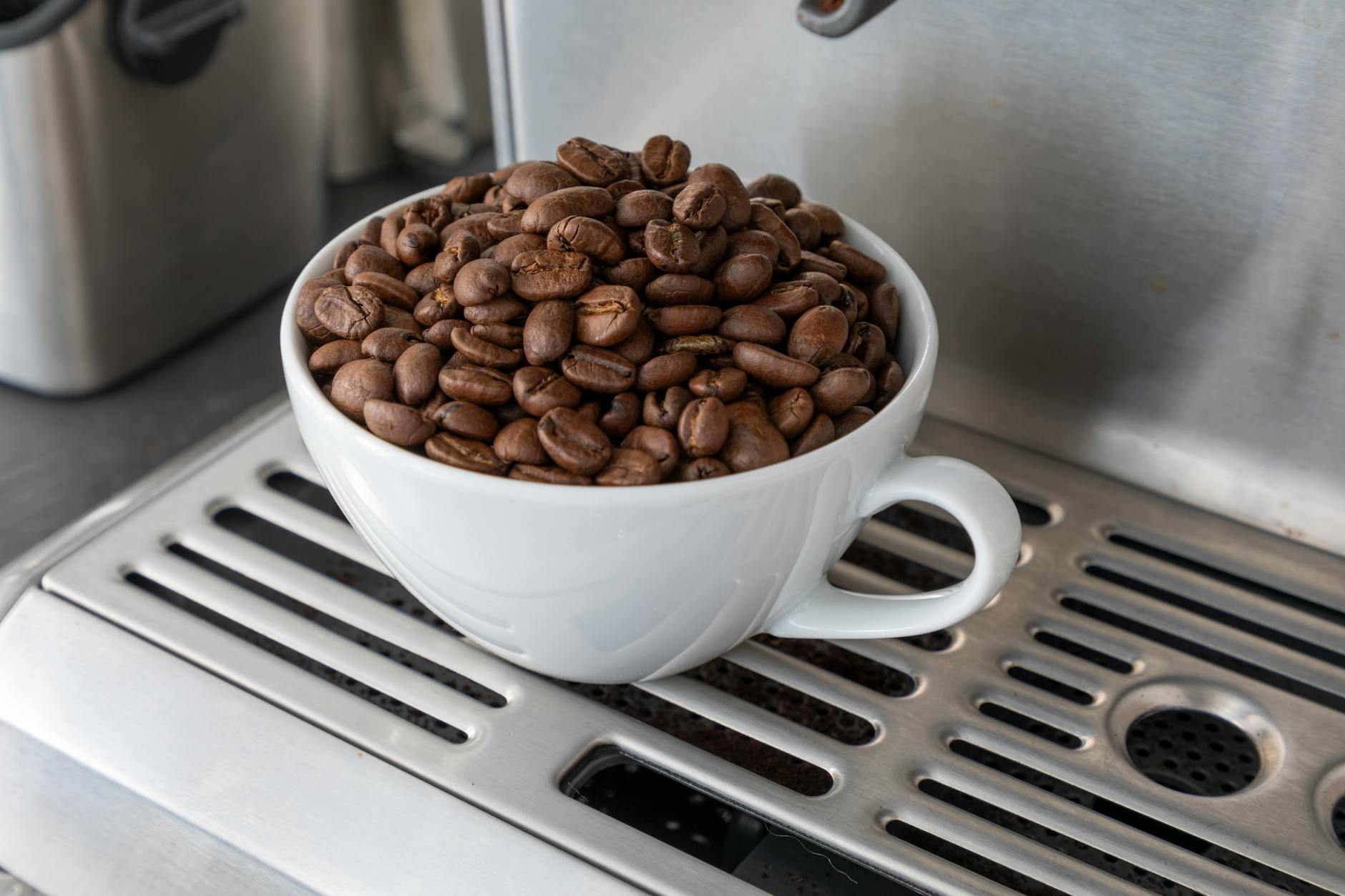 White cup filled with fresh roasted coffee beans placed on an espresso machine's drip tray.