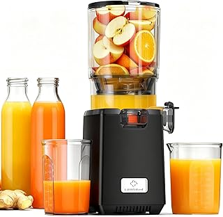 LINKChef Extracteur de Jus 250W